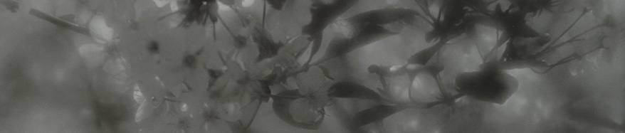 Album «Vsyakoe dihanie...»